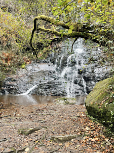 Santo Estevo do Ermo Waterfalls Green Spain